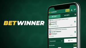 Betwinner Best Bets Strategies for Successful Betting